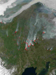 sample active fire image thumbnail